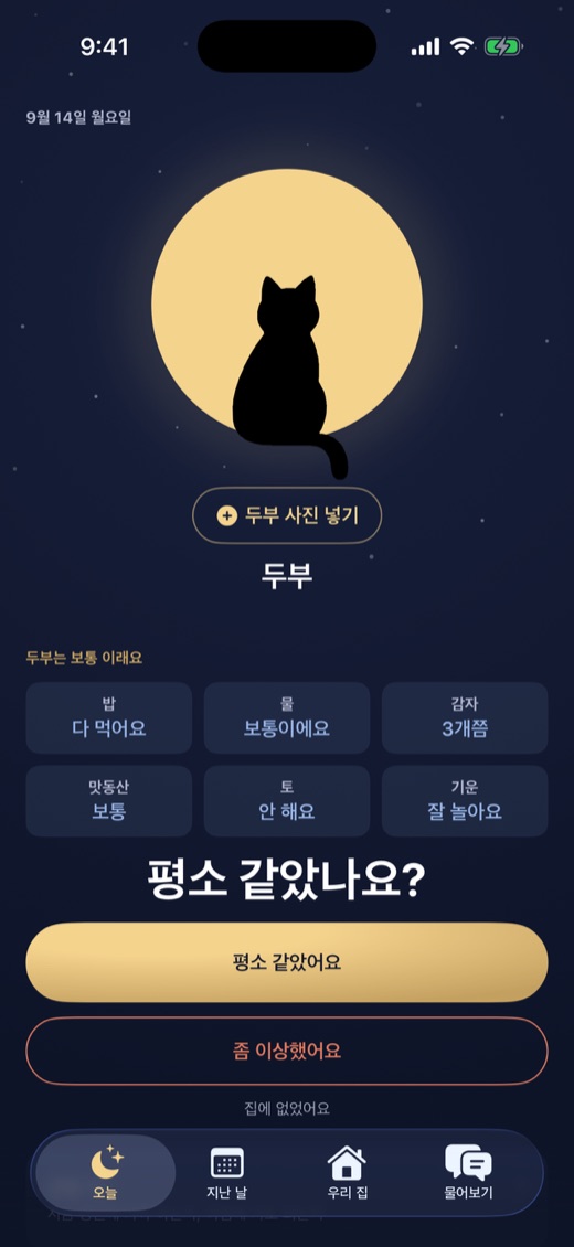 오늘도냥 오늘 화면